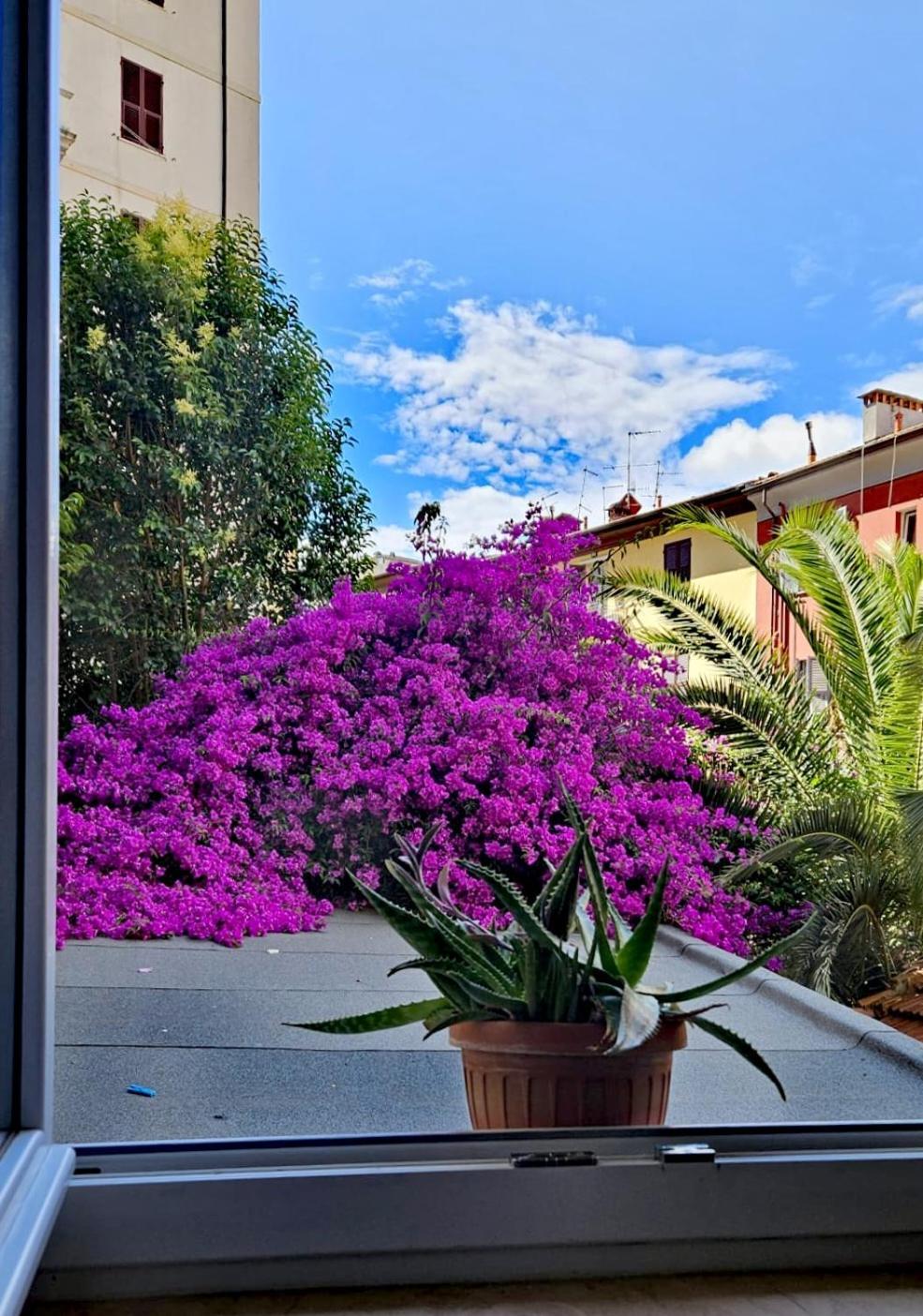 Apartament Ancora Qui, Nel Golfo Dei Poeti La Spezia Zewnętrze zdjęcie